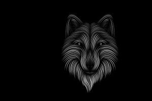 福克斯 线 艺术 黑白 4k壁纸 3840x2160
