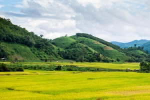 旅行摄影风景背景