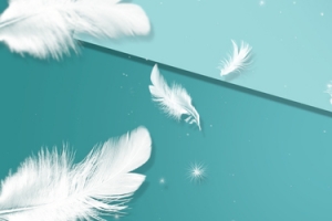 梦幻简约精致饰品banner