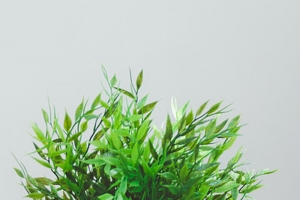 放在桌上的花盆H5背景