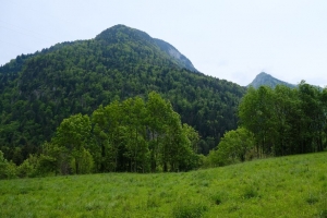 山 树 草 田野 4k壁纸 3840x2160