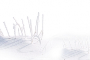 雪地雪景装饰素材