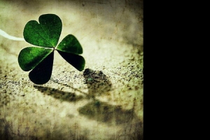 墨鱼正在使用电脑配置截图！这不是显摆！这不是显摆！