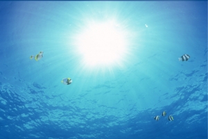 大海