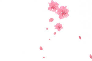 粉色花