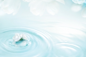 水面上的花唯美场景