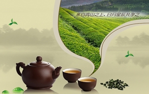 茶文化背景
