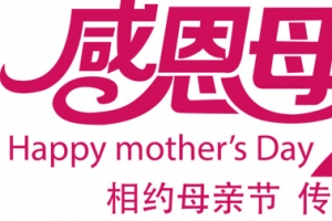 感恩母亲节粉色字体设计