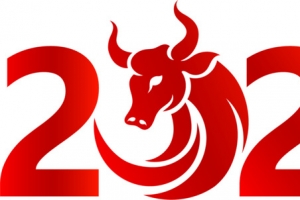2021牛年标题字