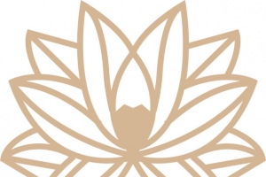 中式传统图案 (100)