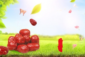 冬季进补红枣草地banner