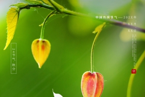 绿色秋分海报