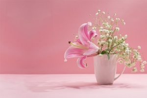 花朵盆栽背景