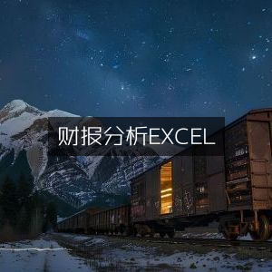 Excel财报分析技巧