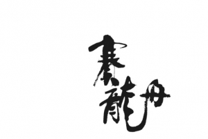 赛龙舟