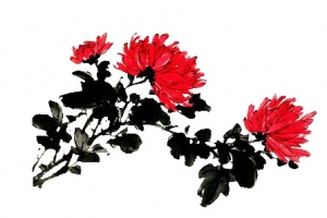 水墨菊花