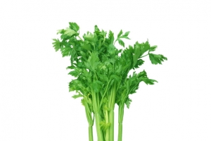 芹菜营养生鲜蔬菜