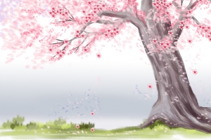 浪漫日本樱花节主题背景图
