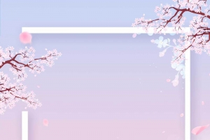 梦幻粉色梅花背景
