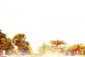 风景素材