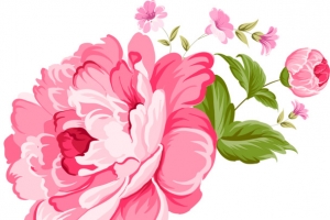 手绘红色花朵