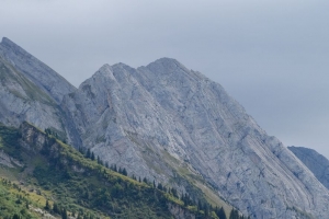 山 斜坡 景观 树木 自然 4k壁纸 3840x2160