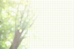 学校学生毕业纪念册背景banner