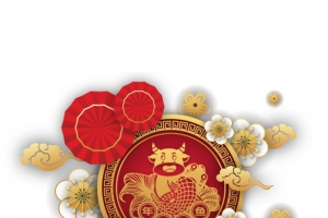 春节除夕剪纸牛祥云花朵