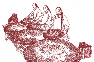 古代制茶工艺流程