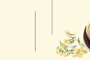 茉莉花茶手绘彩色banner