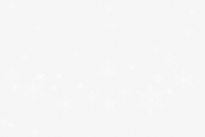 白色雪花矢量装饰底纹