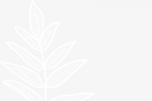 白色植物叶子图案