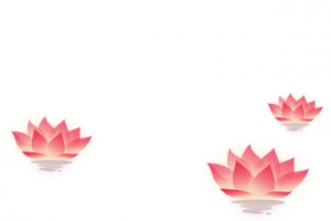 卡通荷花