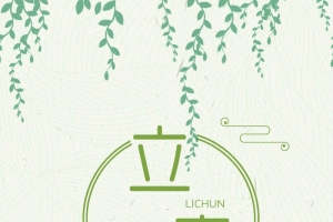 简约中国二十四节气立春传统海报