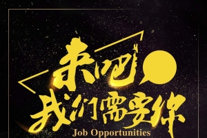 黑金高薪招聘会公司诚聘人才招募令海报