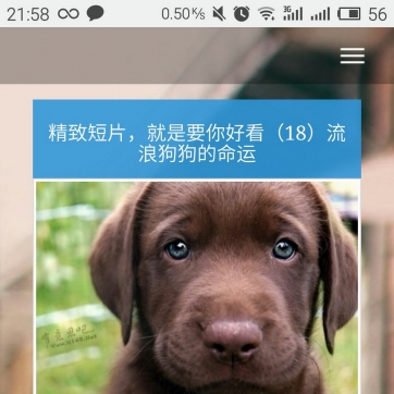 帝国CMS资讯新闻个人博客日记模板，整站源码，自适应HTML5响应式