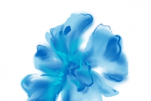 蓝色的水彩花