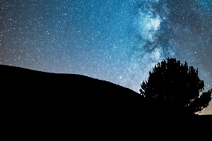 夜 树 星空 黑暗 银河 星星 4k壁纸 3840x2160