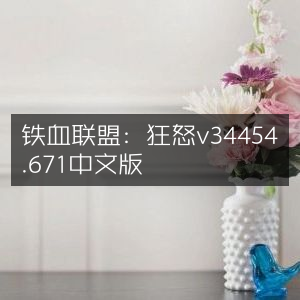 铁血联盟，狂怒中文版v34454.671