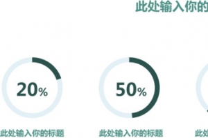 极简素色环形图.
