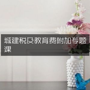 城建税与教育费附加深度解析专题课