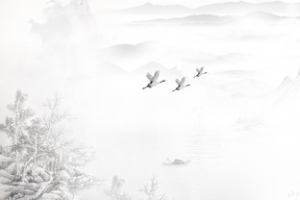 淘宝 店招 banner 背景