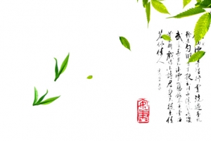 茶叶诗词