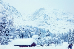 雪地里的房屋树林