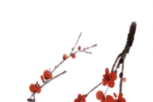 中国风手绘冬至梅花2