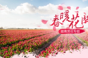 春暖花开踏青风景