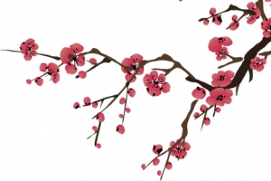 梅花水墨风中国