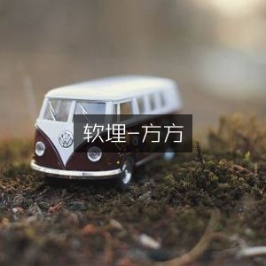 软埋-方方，文学艺术书籍精选