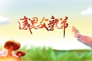 感恩父亲节骑大马的小女孩
