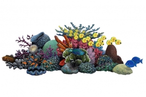 珊瑚礁高清PNG透明装饰元素生活用品设计素材免费下载